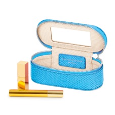 Handbag Tidy All in Aquamarine Lizard