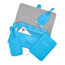 Classic Travel Collection in Aquamarine Lizard & Silver Suede
