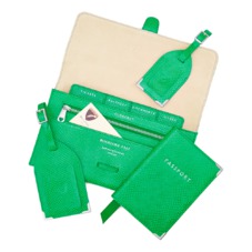 Classic Travel Collection in Grass Green Lizard & Cream Suede
