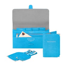 Classic Travel Collection in Aquamarine Lizard & Silver Suede