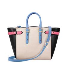 The Chameleon Tote