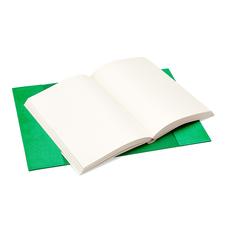A5 Refillable Journal in Grass Green Lizard