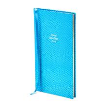 Aspinal Social Diary in Aquamarine Lizard