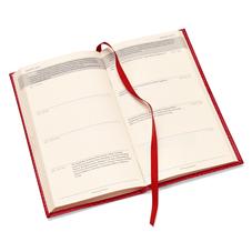 Aspinal Social Diary in Grass Green Lizard