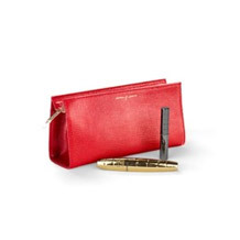 Small Cosmetic Case