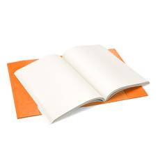 A4 Refillable Leather Journal in Orange Lizard