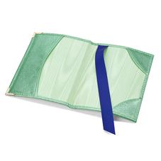 Passport Cover in Peppermint Metallic