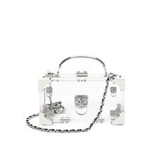 Lion Trinket Box in Transparent Acrylic with Silver Hardware