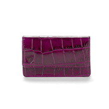 Business & Credit Card Case