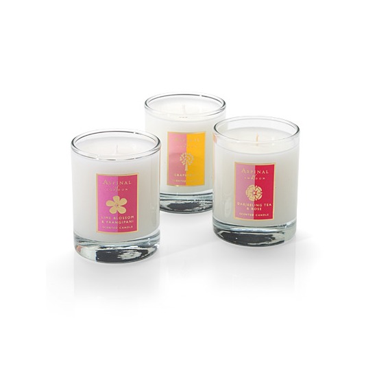 Candle Trio in Darjeeling, Frangipani, Grapefruit from Aspinal of London