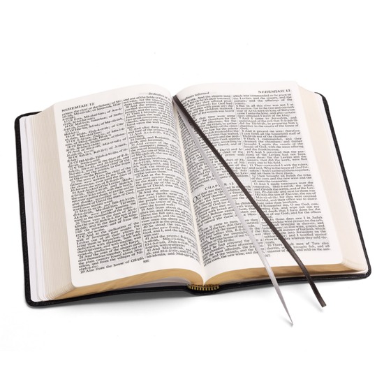 Holy Bible in Black Jewel Calf from Aspinal of London