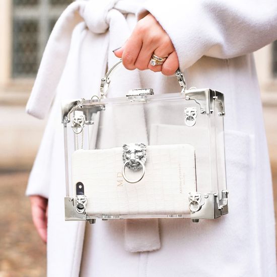 Lion Mini Trunk Clutch in Transparent Acrylic with Silver Hardware from Aspinal of London
